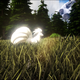 Illustration for article titled Mod Letting Players Hunt Pokémon In Ark: Survival Evolved Gets Hit With DMCA